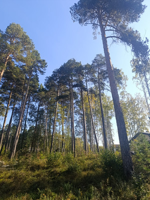 Купить  участок